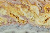 5.7" Colorful, Wild Fire Opal Slab (Not Polished) - Utah - #130588-1